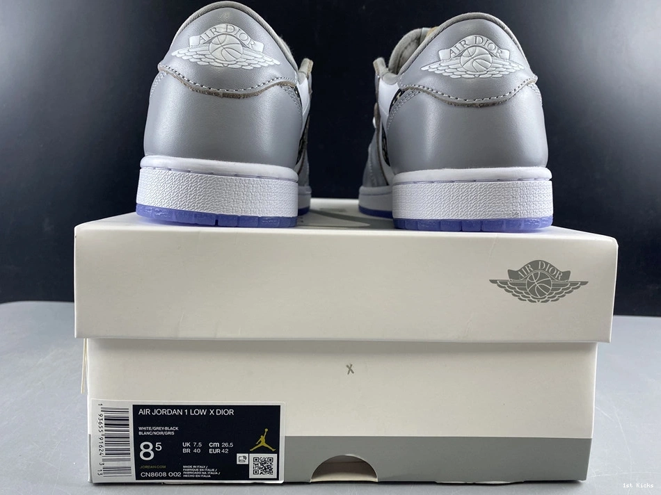 Retro CN8608 1 002 Low Dior Jordan - 0205